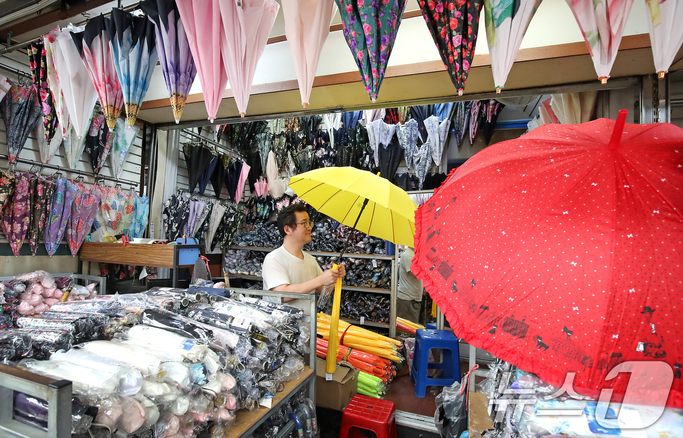 (대구=뉴스1) 공정식 기자 = 제주에서 올해 첫 장마가 시작된 12일 오후 대구 중구 서문시장 한 우산가게에서 주인이 봄철 양산에 밀렸던 우산을 꺼내 진열하고 있다. 평년보다 일 …