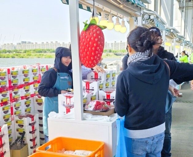 장성군, 15일 서울 잠수교 '뚜벅뚜벅축제'서 농특산물 판매