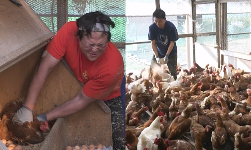 본문 이미지 - MBC