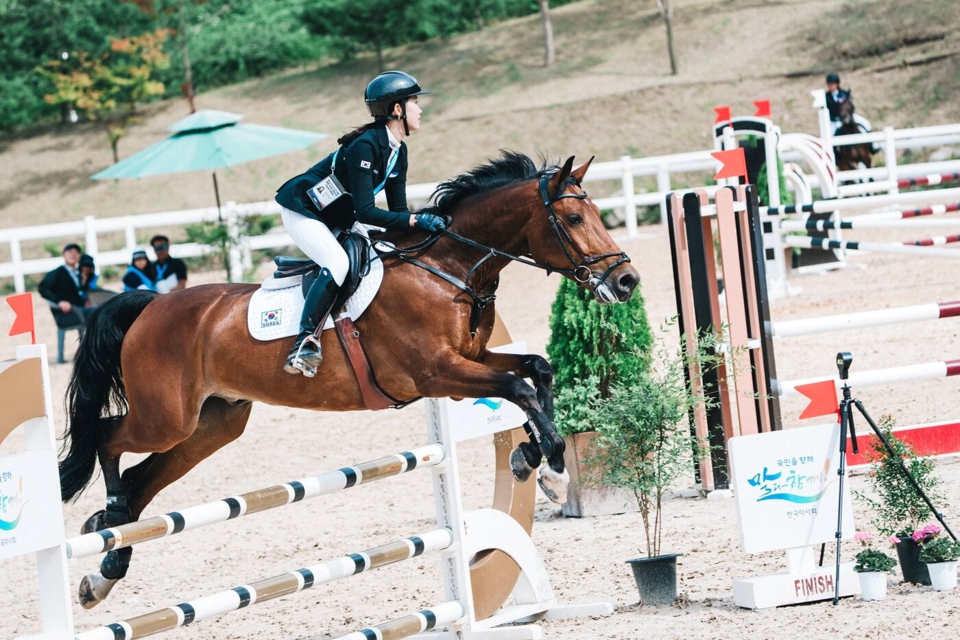 본문 이미지 - 수출마 케이스타(한국마사회 제공)