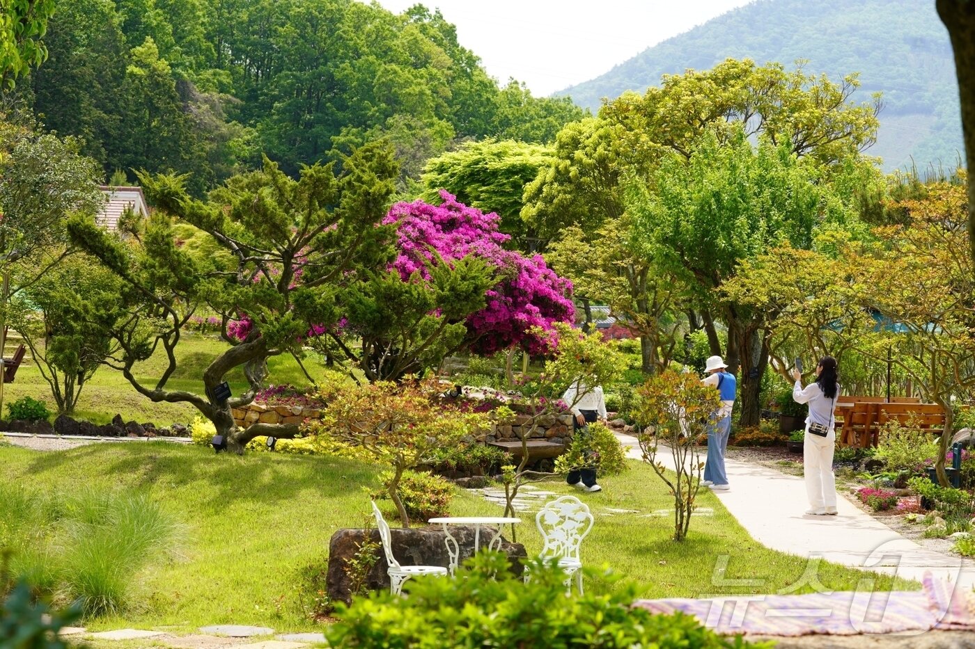 본문 이미지 - 2024 전남도 예쁜정원 콘테스트에서 대상을 차지한 비밀의 정원 &#40;해남군 제공, 재판매 및 DB금지&#41; /뉴스1 