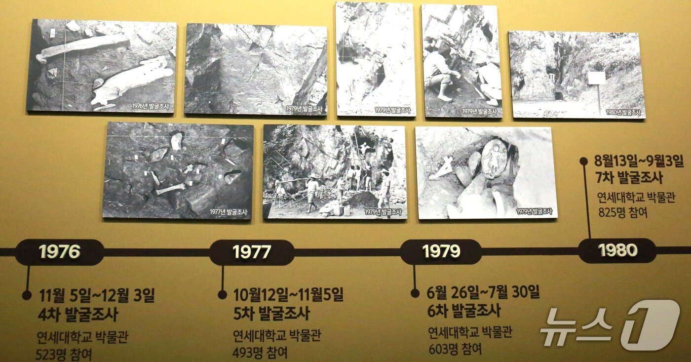 본문 이미지 - 연세대 박물관팀의 제천 점말동굴 발굴 모습.2025.6.13./뉴스1 ⓒ News1 손도언 기자 
