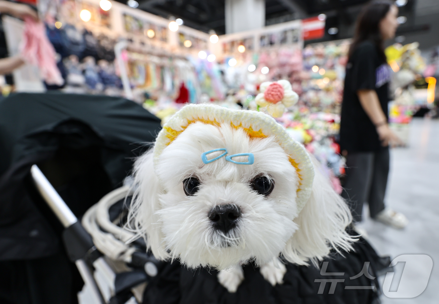 (서울=뉴스1) 김도우 기자 = 13일 서울 강서구 코엑스 마곡에서 열린 '2025 케이펫페어'에서 관람객들이 반려동물 옷을 살펴보고 있다.이번 전시회에는 반려동물 사료, 용품 등 …