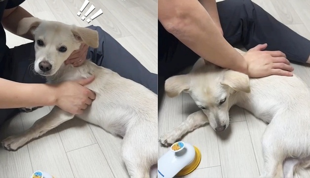 많이 본 뉴스