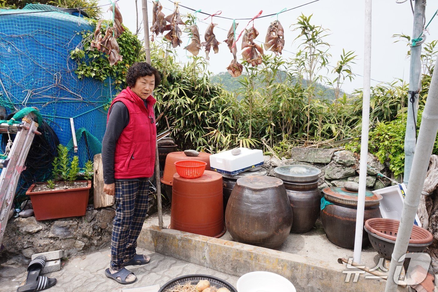 본문 이미지 - 목포에 나가 살다 아픈 남편의 요양을 겸해 고향으로 돌아왔다는 옥도리 김향심 할머니. &#34;커피 한 잔 먹고 가라&#34;며 낯선 방문객을 반겼다.2025.6.13/뉴스1 ⓒ News1 조영석 기자 