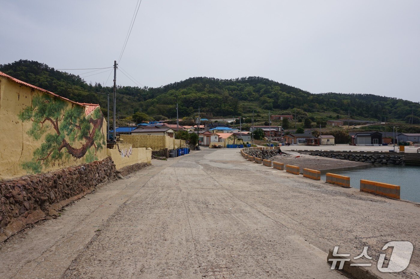 본문 이미지 - 옥도 북방파제에서 옥도마을로 들어가는 진입로 풍경.2025.6.13/뉴스1 ⓒ News1 조영석 기자 