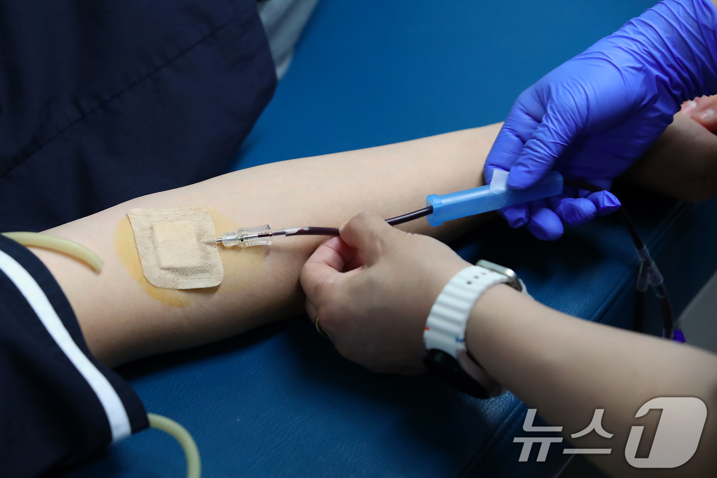 (대구=뉴스1) 공정식 기자 = 세계 헌혈자의 날을 하루 앞둔 13일 대구 달성군 현풍고등학교 학생들이 학교를 방문한 대한적십자사 대구경북혈액원 헌혈버스에서 헌혈에 동참하고 있다. …