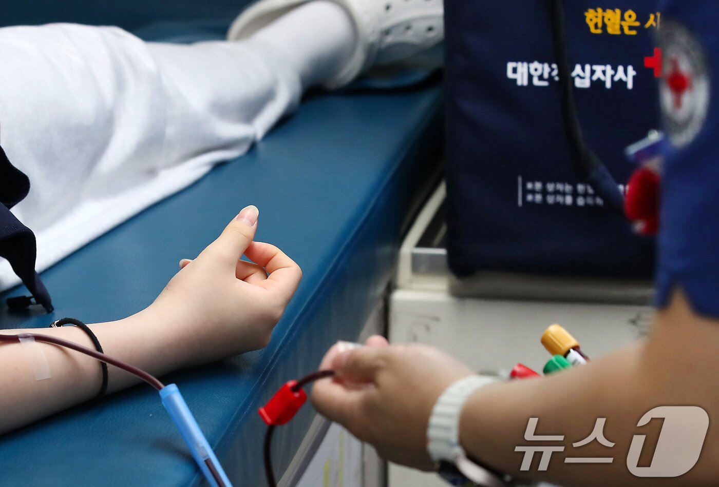 본문 이미지 - 세계 헌혈자의 날을 하루 앞둔 13일 대구 달성군 현풍고등학교 학생들이 학교를 방문한 대한적십자사 대구경북혈액원 헌혈버스에서 헌혈에 동참하고 있다. 이날 수학여행을 떠난 1학년 학생을 제외하고 2·3학년 324명 가운데 100여 명의 학생이 헌혈에 참여했다. 2025.6.13/뉴스1 ⓒ News1 공정식 기자