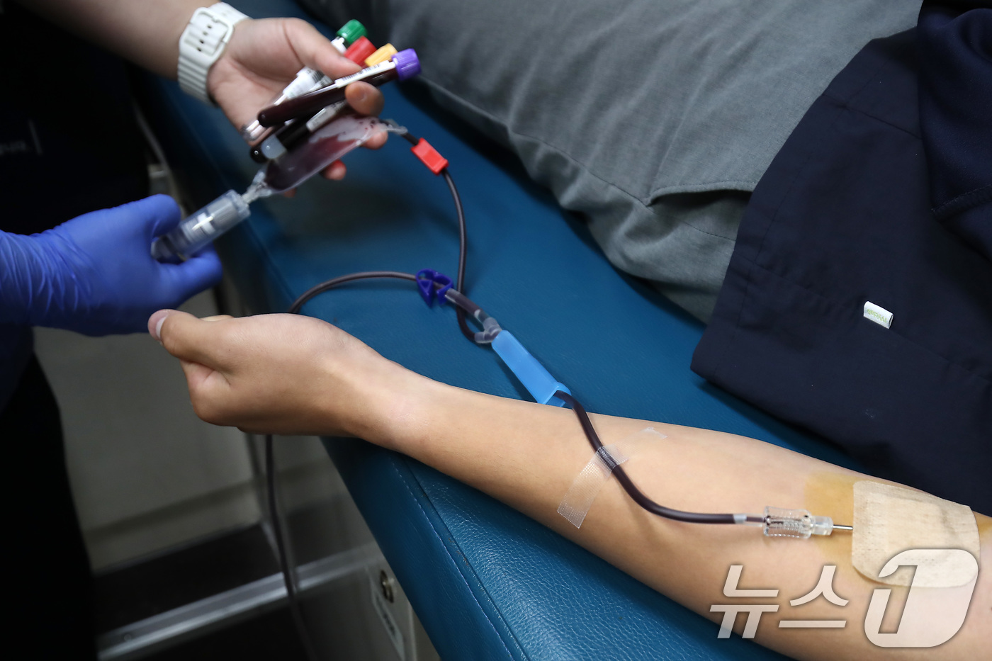 (대구=뉴스1) 공정식 기자 = 세계 헌혈자의 날을 하루 앞둔 13일 대구 달성군 현풍고등학교 학생들이 학교를 방문한 대한적십자사 대구경북혈액원 헌혈버스에서 헌혈에 동참하고 있다. …