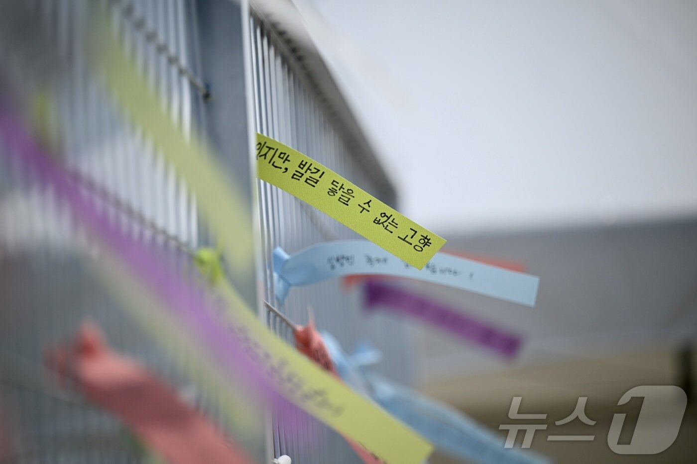 본문 이미지 - 제10회 실향민문화축제 합동 먕향제가 13일 강원 속초시 청호동 아바이마을 내 망향공원에서 열리고 있다.&#40;속초시 제공, 재판매 및 DB 금지&#41; 2025.6.13/뉴스1 ⓒ News1 윤왕근 기자