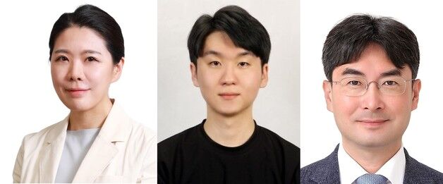 "거리두기 덕에 암 생존자 심혈관질환 위험↓…초미세먼지 노출 감소"