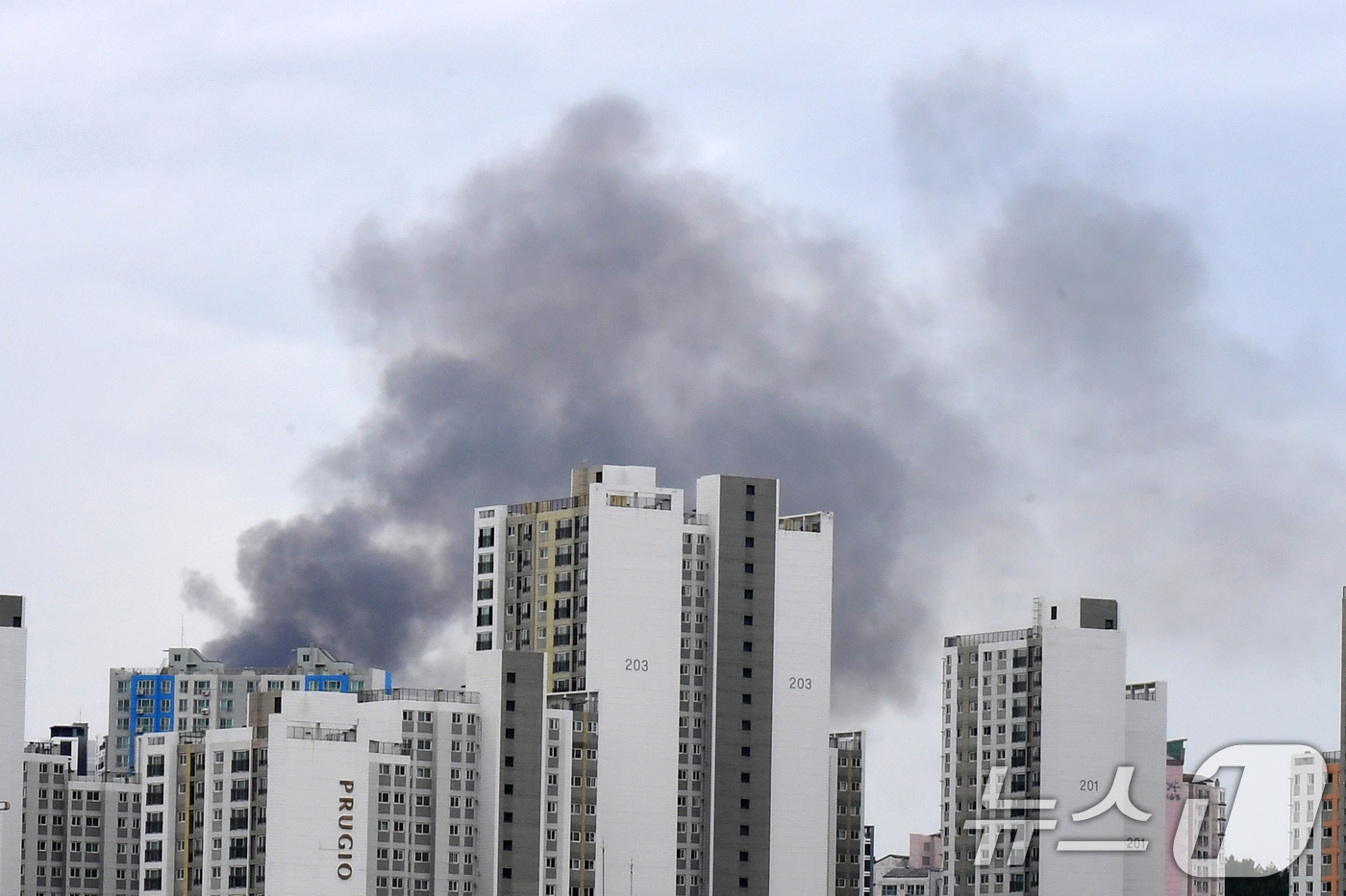 (포항=뉴스1) 최창호 기자 = 13일 오후 3시30분쯤 경북 포항시 북구 흥해읍 이인리 산 정상 부근에 있던 농막에서 원인을 알 수 없는 불이 나 검은 연기가 도심쪽으로 퍼지고 …