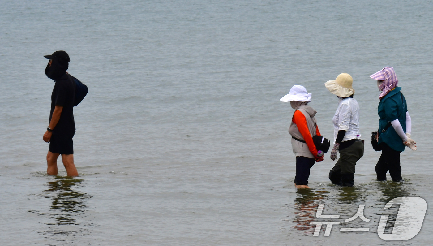 (포항=뉴스1) 최창호 기자 = 13일 오후 경북 포항시 북구 영일대해수욕장에서 시민들이 바닷물에 발을 담그고 있다. 2025.6.13/뉴스1