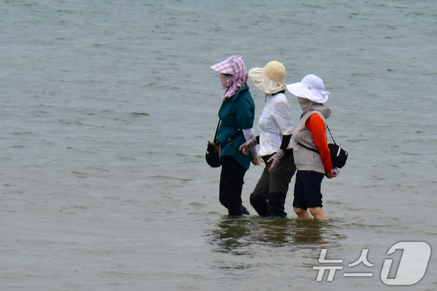 (포항=뉴스1) 최창호 기자 = 13일 오후 경북 포항시 북구 영일대해수욕장에서 시민들이 바닷물에 발을 담그고 있다. 2025.6.13/뉴스1