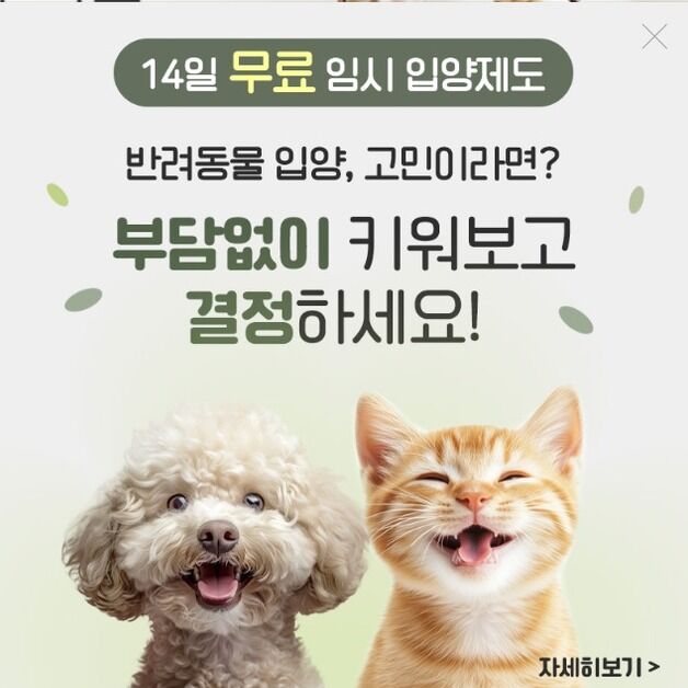 "부담없이 키워보고 결정하세요" 동물 분양 업체의 수상한 광고