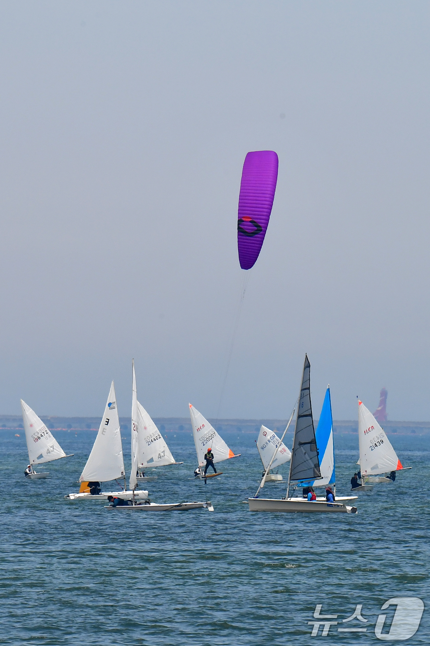 (포항=뉴스1) 최창호 기자 = 15일 경북 포항시 북구 영일대해수욕장 앞 바다에서 열린 2025 포항시장배 세일링 챔피언십 대회에서 선수들이 반환점을 돌고 있다. 2025.6.1 …