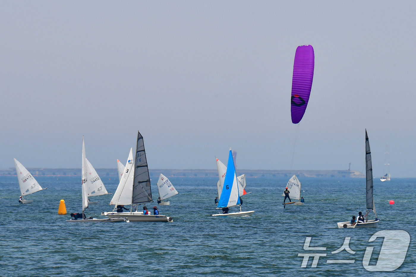 (포항=뉴스1) 최창호 기자 = 15일 경북 포항시 북구 영일대해수욕장 앞 바다에서 열린 2025 포항시장배 세일링 챔피언십 대회에서 선수들이 반환점을 돌고 있다. 2025.6.1 …