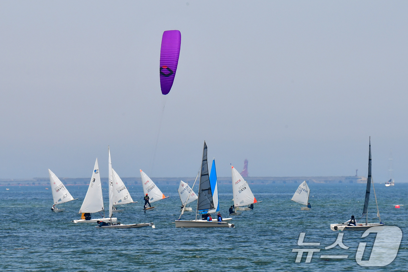 (포항=뉴스1) 최창호 기자 = 15일 경북 포항시 북구 영일대해수욕장 앞 바다에서 열린 2025 포항시장배 세일링 챔피언십 대회에서 선수들이 반환점을 돌고 있다. 2025.6.1 …