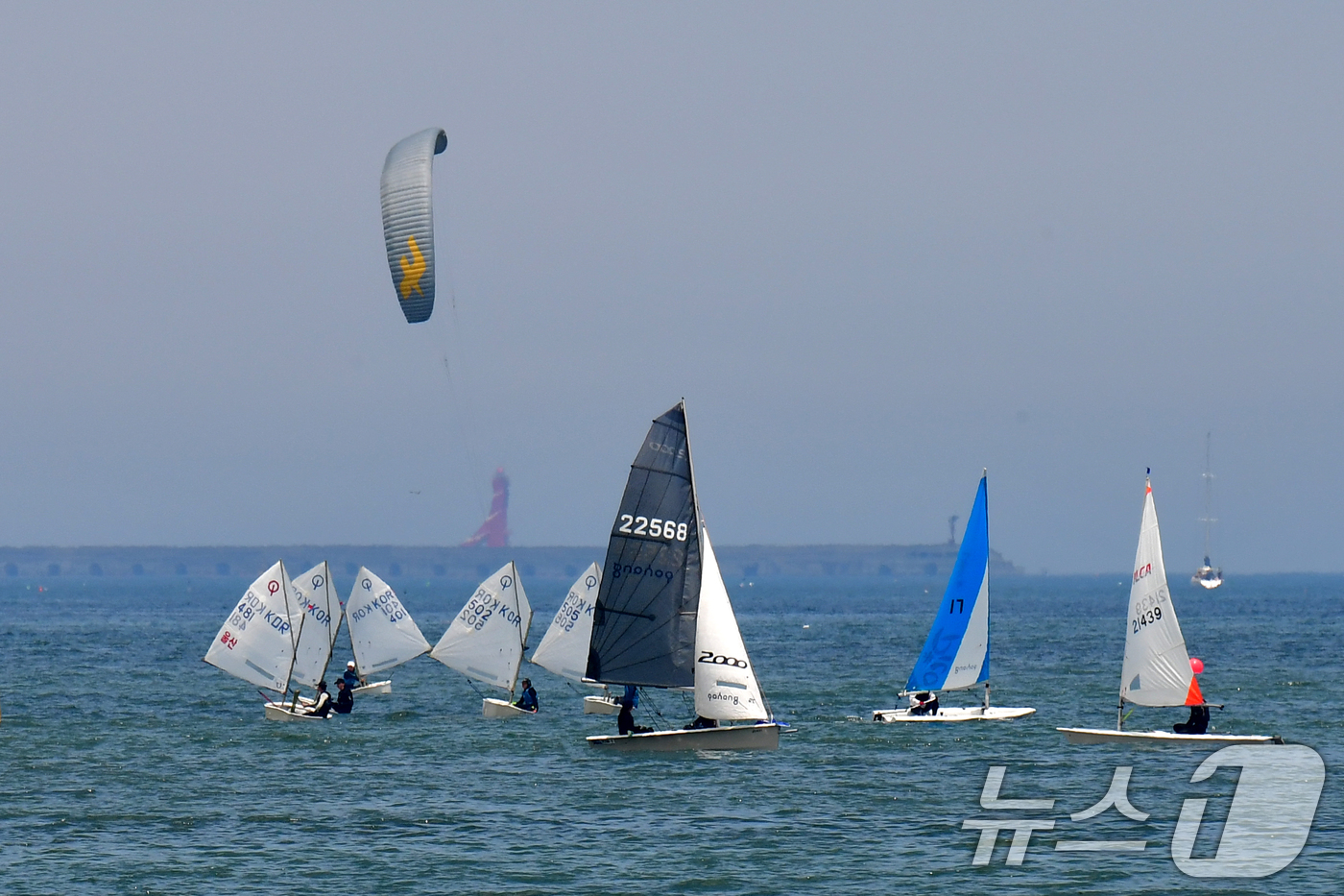 (포항=뉴스1) 최창호 기자 = 15일 경북 포항시 북구 영일대해수욕장 앞 바다에서 열린 2025 포항시장배 세일링 챔피언십 대회에서 선수들이 반환점을 돌고 있다. 2025.6.1 …