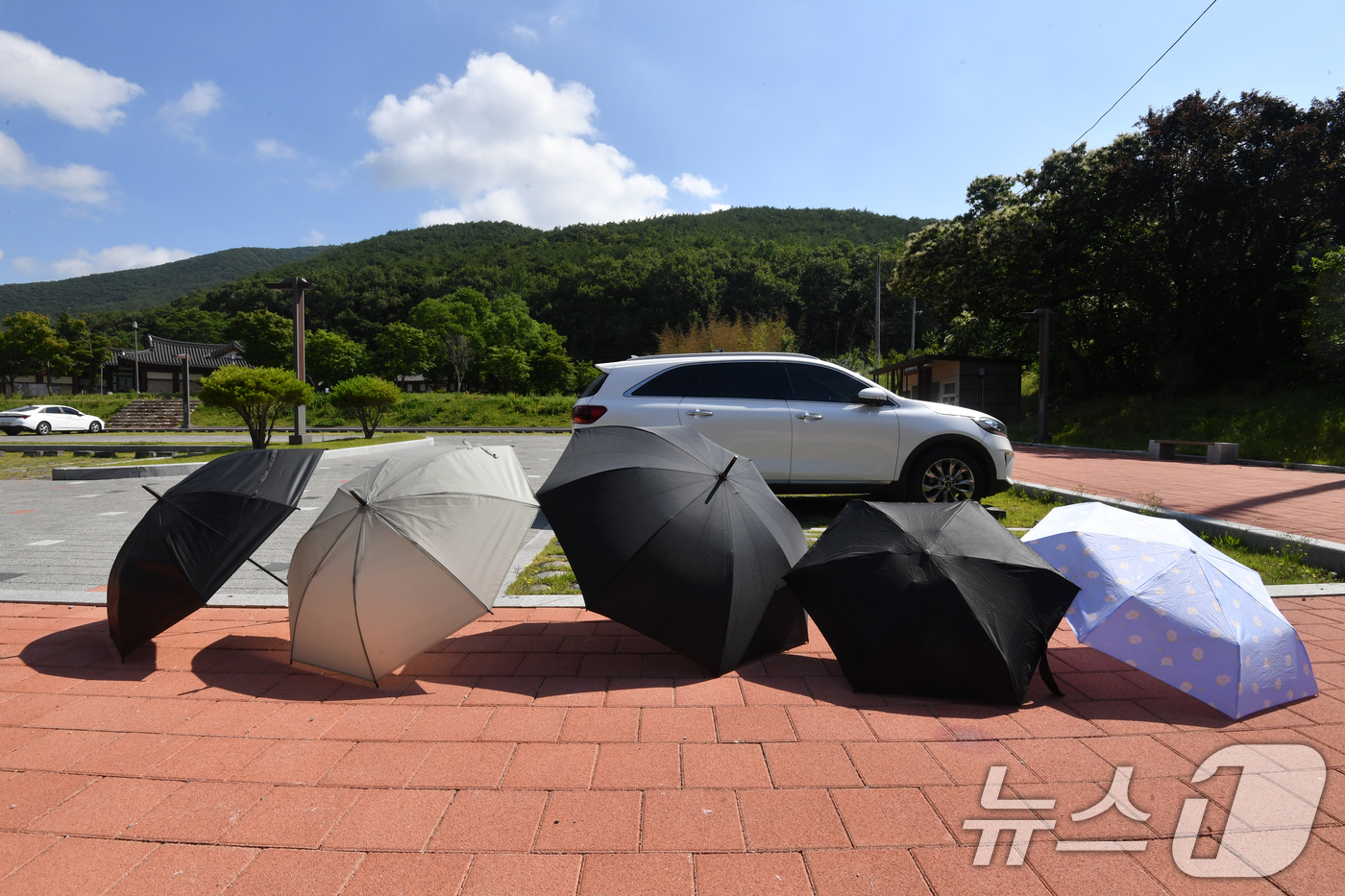(경주=뉴스1) 최창호 기자 = 15일 경북 경주시 옥산서원 주차장 한쪽에서 관광객이 햇볕에 우산을 말리고 있다.   2025.6.15/뉴스1