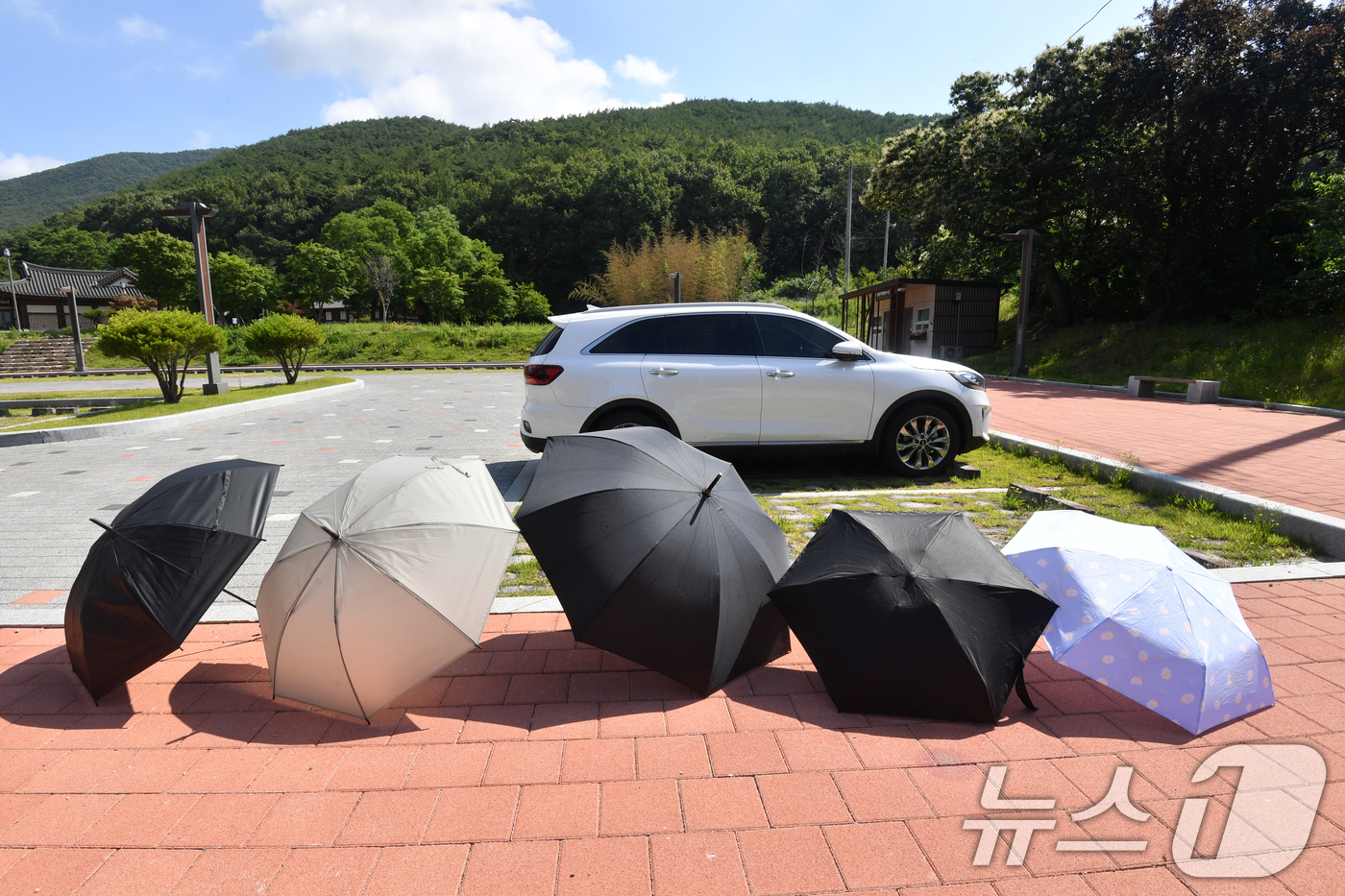 (경주=뉴스1) 최창호 기자 = 15일 경북 경주시 옥산서원 주차장 한쪽에서 관광객이 햇볕에 우산을 말리고 있다. 2025.6.15/뉴스1