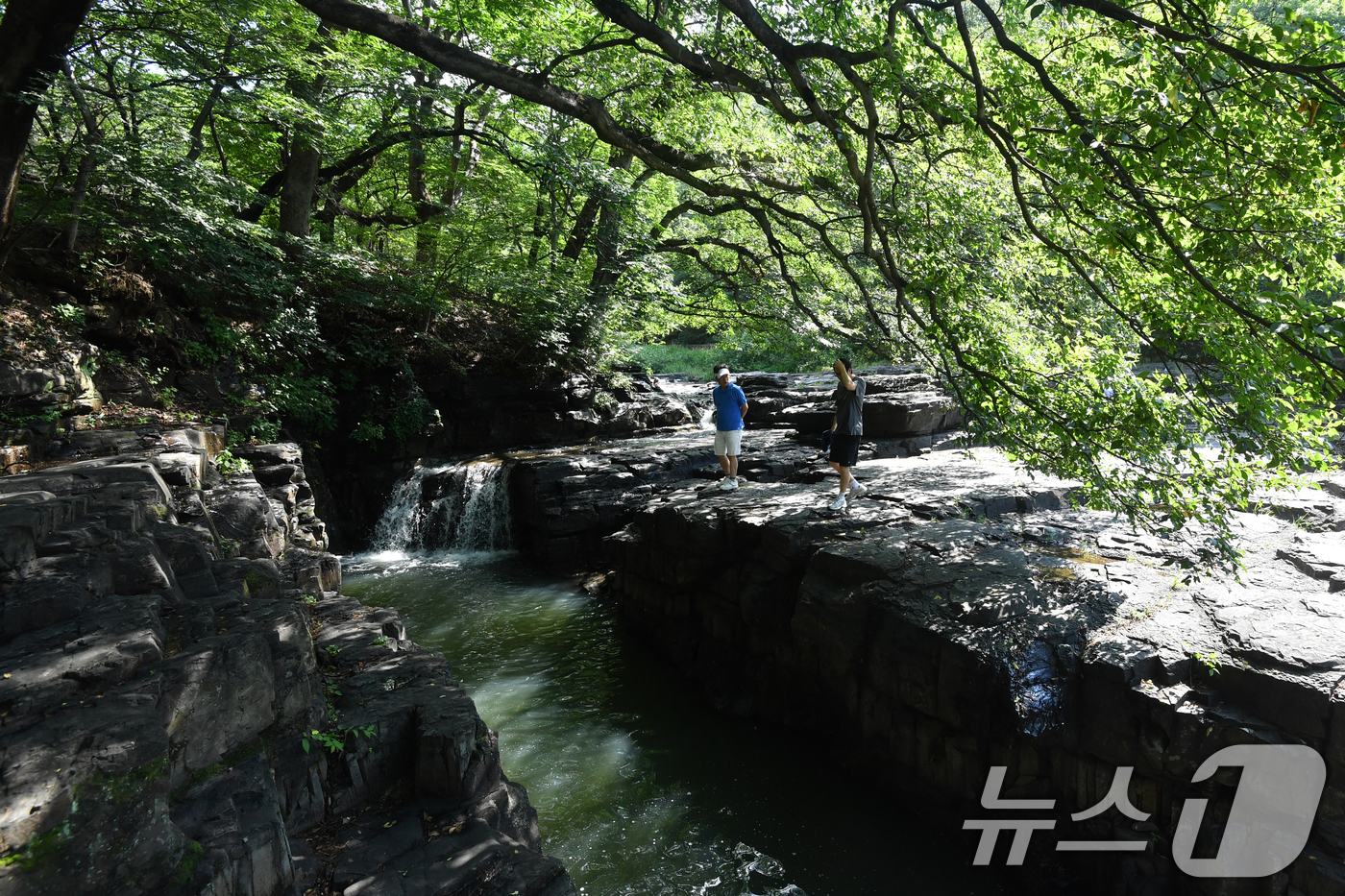 (경주=뉴스1) 최창호 기자 = 15일 경북 경주시 옥산사원 계곡에서 관강객들이 니무 그늘 아래에서 햇볕을 피하고 있다.  2025.6.15/뉴스1