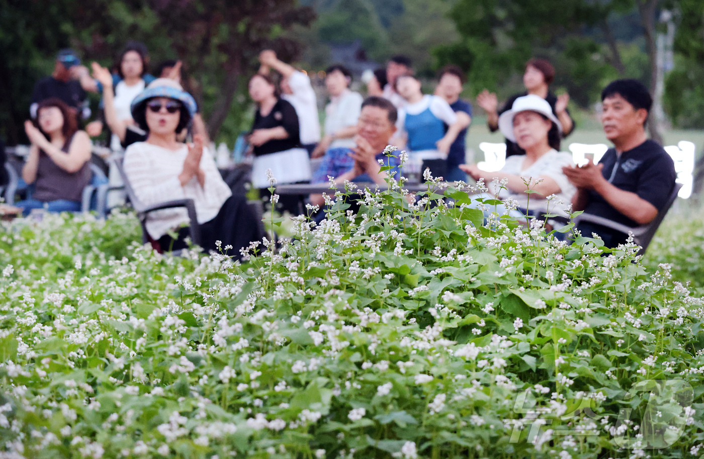 (서울=뉴스1) = 15일 휴일을 맞아 강원도 평창 봉평에서 열린 제3회 봉평 오얏나무숲 메밀꽃축제를 찾은 방문객들이 멍때리기 체험을 하고 있다. (봉평메밀영농조합 제공. 재판매 …