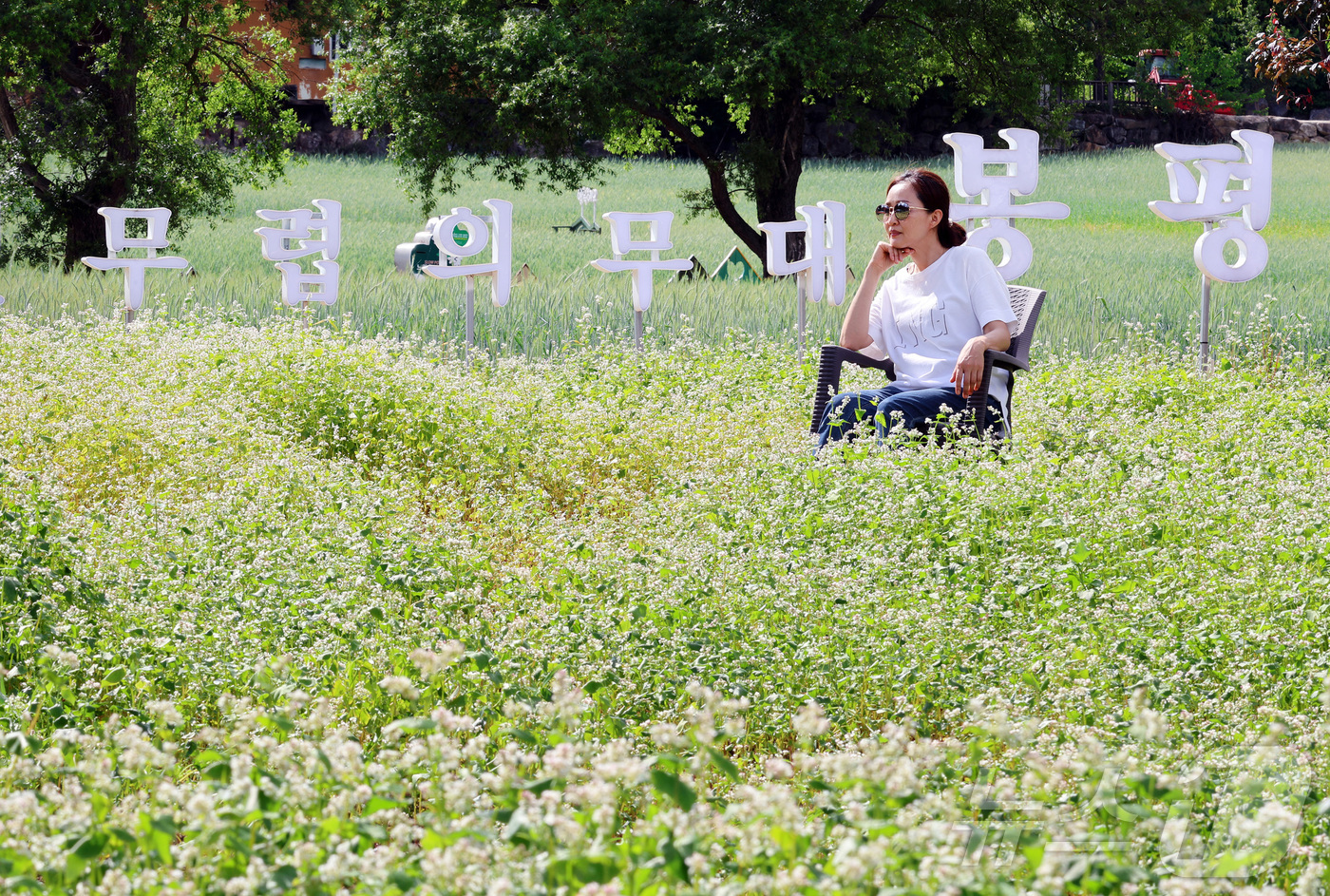 (서울=뉴스1) = 15일 휴일을 맞아 강원도 평창 봉평에서 열린 제3회 봉평 오얏나무숲 메밀꽃축제를 찾은 방문객들이 멍때리기 체험을 하고 있다. (봉평메밀영농조합 제공. 재판매 …