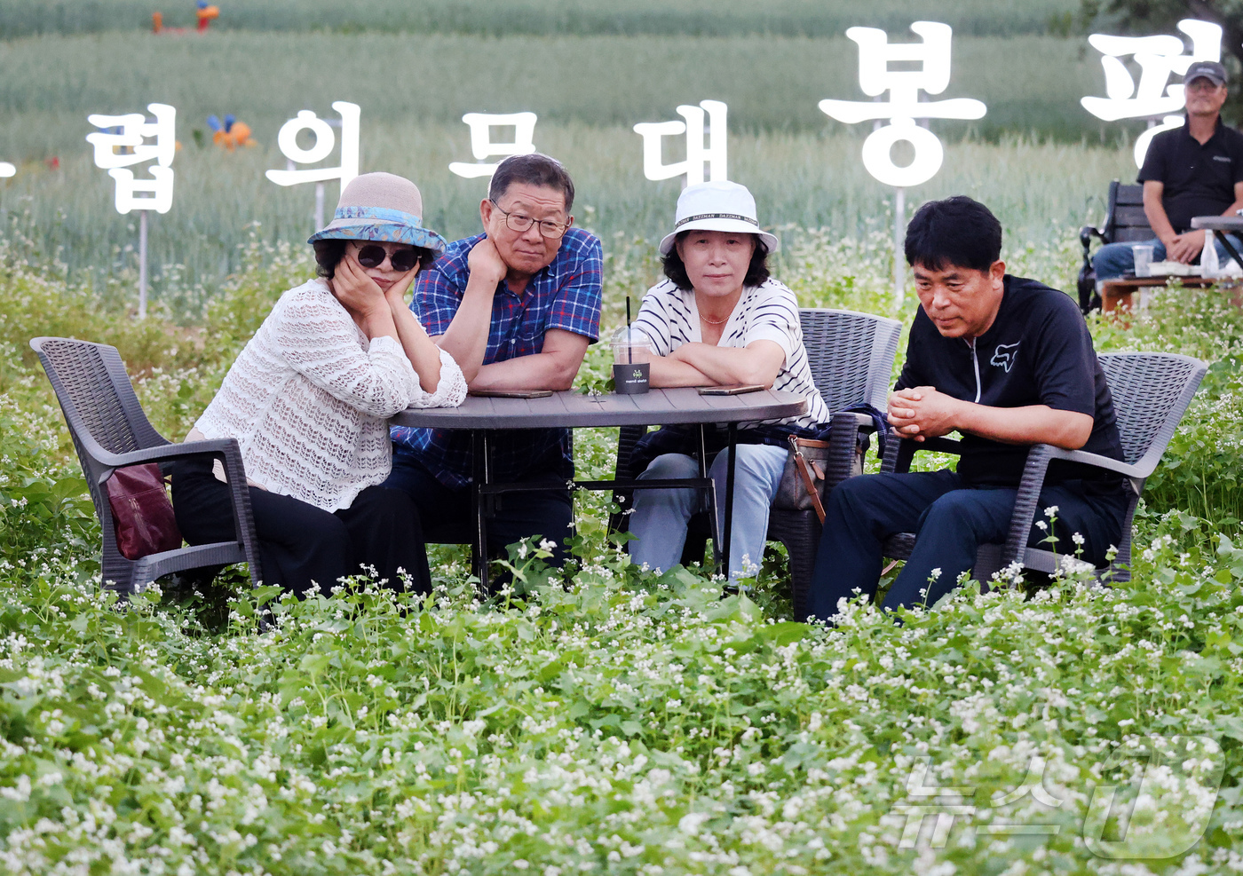 (서울=뉴스1) = 15일 휴일을 맞아 강원도 평창 봉평에서 열린 제3회 봉평 오얏나무숲 메밀꽃축제를 찾은 방문객들이 멍때리기 체험을 하고 있다. (봉평메밀영농조합 제공. 재판매 …