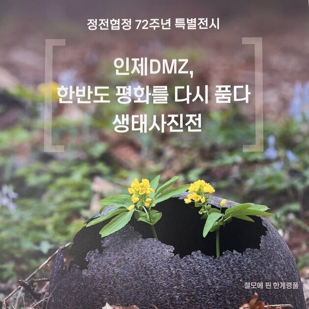 인제 비무장지대 한눈에…인제 'DMZ 생태 사진전'