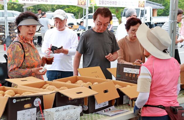 "감물 감자에 7000명 반했다"…괴산 '감물감자축제' 성료