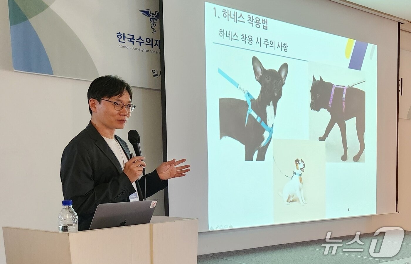 본문 이미지 - 김석중 24시센트럴동물메디컬센터 원장이 2025 제1차 한국수의재활학회 학술대회에서 반려견의 하네스&#40;가슴줄&#41; 형태에 따른 주의사항을 설명하고 있다. ⓒ 뉴스1 한송아 기자