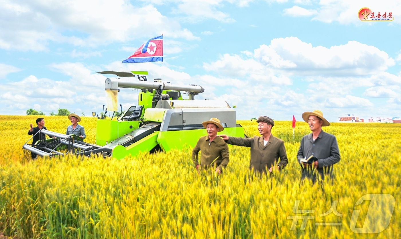 (평양 노동신문=뉴스1) = 북한 노동당 기관지 노동신문은 16일 "밀가을을 최적기에 와다닥 끝내기 위한 작전을 심화하고 있다"라고 보도했다. [국내에서만 사용가능. 재배포 금지. …