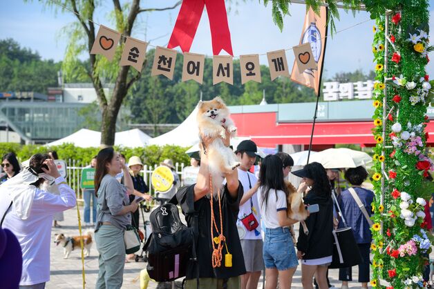 "댕댕이들 이곳으로"…순천만국가정원 반려견 첫 동반 입장