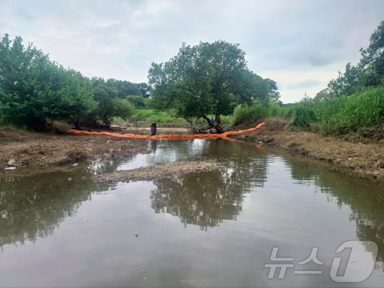 (광주=뉴스1) 최성국 기자 = 16일 광주 광산구 등에 따르면 지난 14일 광주 광산구 소촌동 금호타이어 광주공장 뒤편에서 나온 오염수가 공장과 인접한 황룡강 지류로 유출됐다고 …