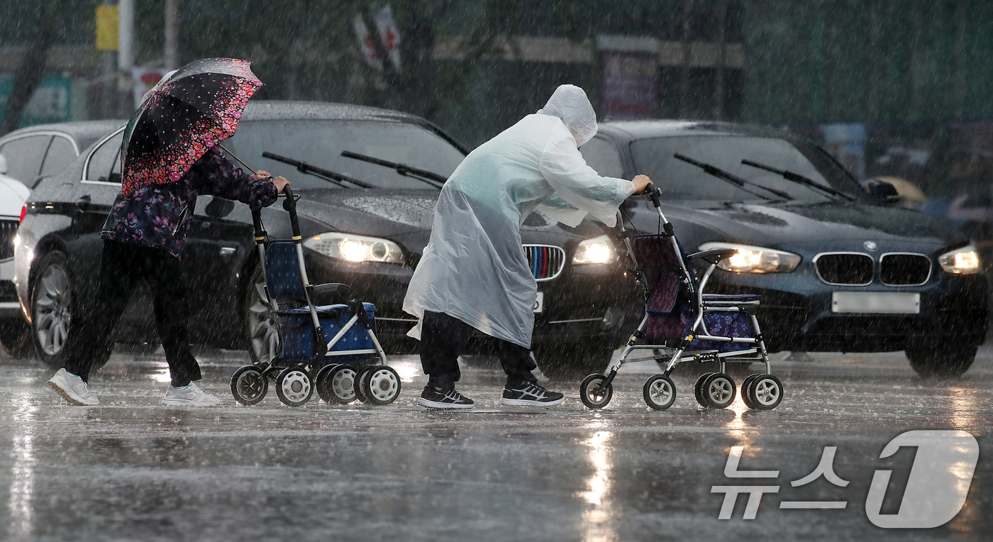 (대구=뉴스1) 공정식 기자 = 16일 오전 비가 요란하게 내리는 대구 수성구 달구벌대로 한 횡단보도에서 어르신이 보행보조기(어르신 유모차)에 의지한 채 길을 건너고 있다. 202 …