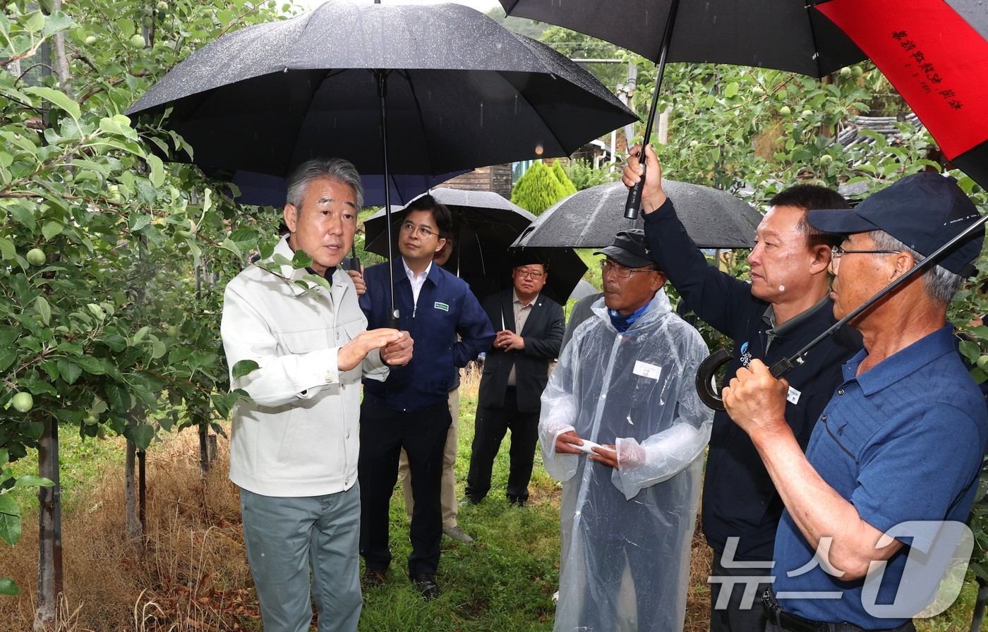 (서울=뉴스1) = 강호동 농협중앙회 회장이 16일 경북 청송, 김천의 우박 피해 농가를 찾아 피해 상황을 점검하고 있다. (농협중앙회 제공. 재판매 및 DB 금지) 2025.6. …