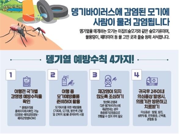 전북서 올 첫 뎅기열 환자 발생…"태국 여행 후 발열 증세"