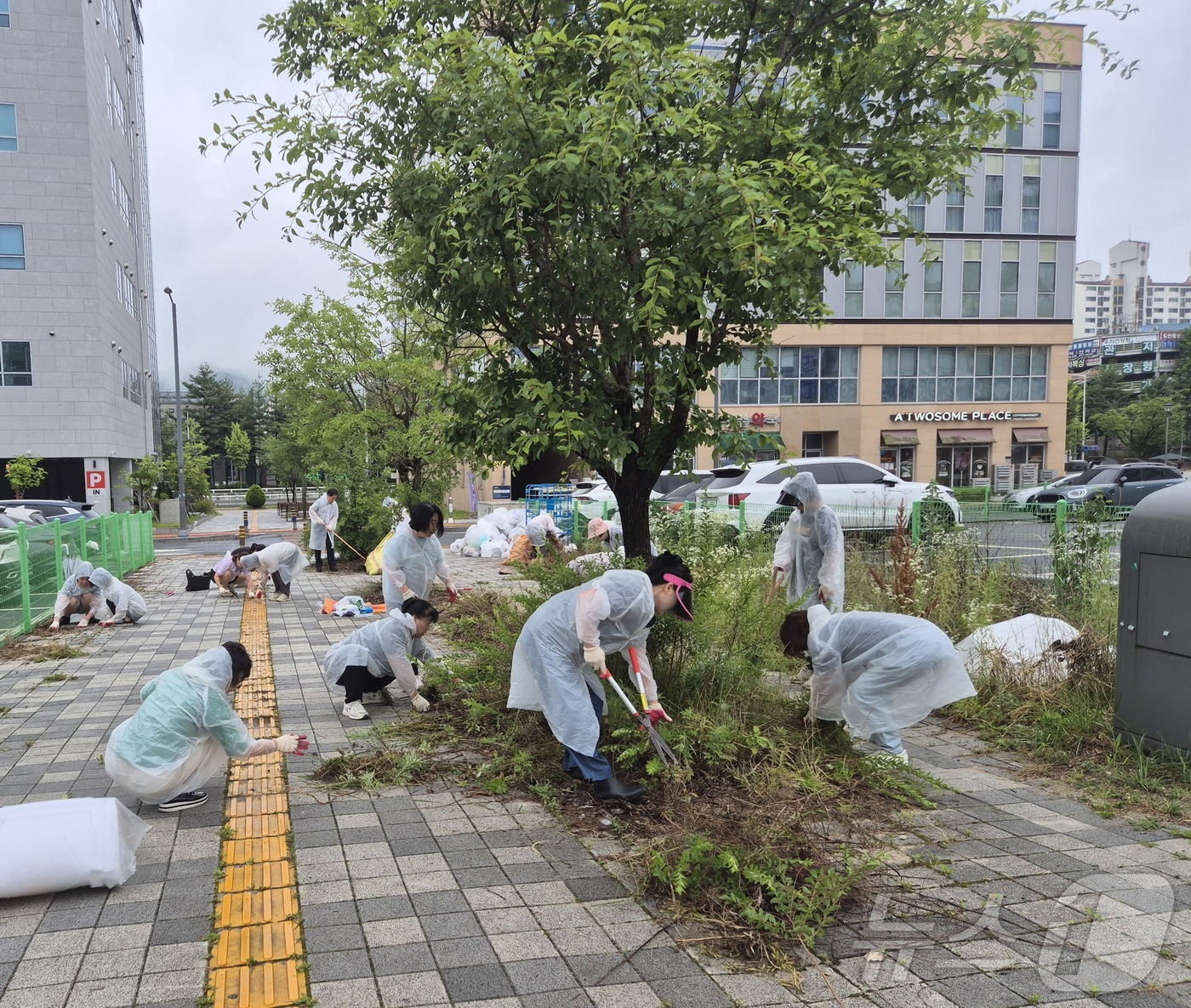 (대전=뉴스1) 이동원 기자 = 대전 서구(구청장 서철모) 관저1동 행정복지센터(동장 김수명)는 지난 16일 여름철 집중호우에 대비해 통장협의회와 동 직원 25명이 참여한 가운데, …