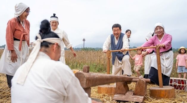 증평군 전통 보리타작 행사