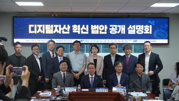 기본법 이어 디지털자산 혁신법 발의…스테이블코인 자본금 5억→10억(종합)