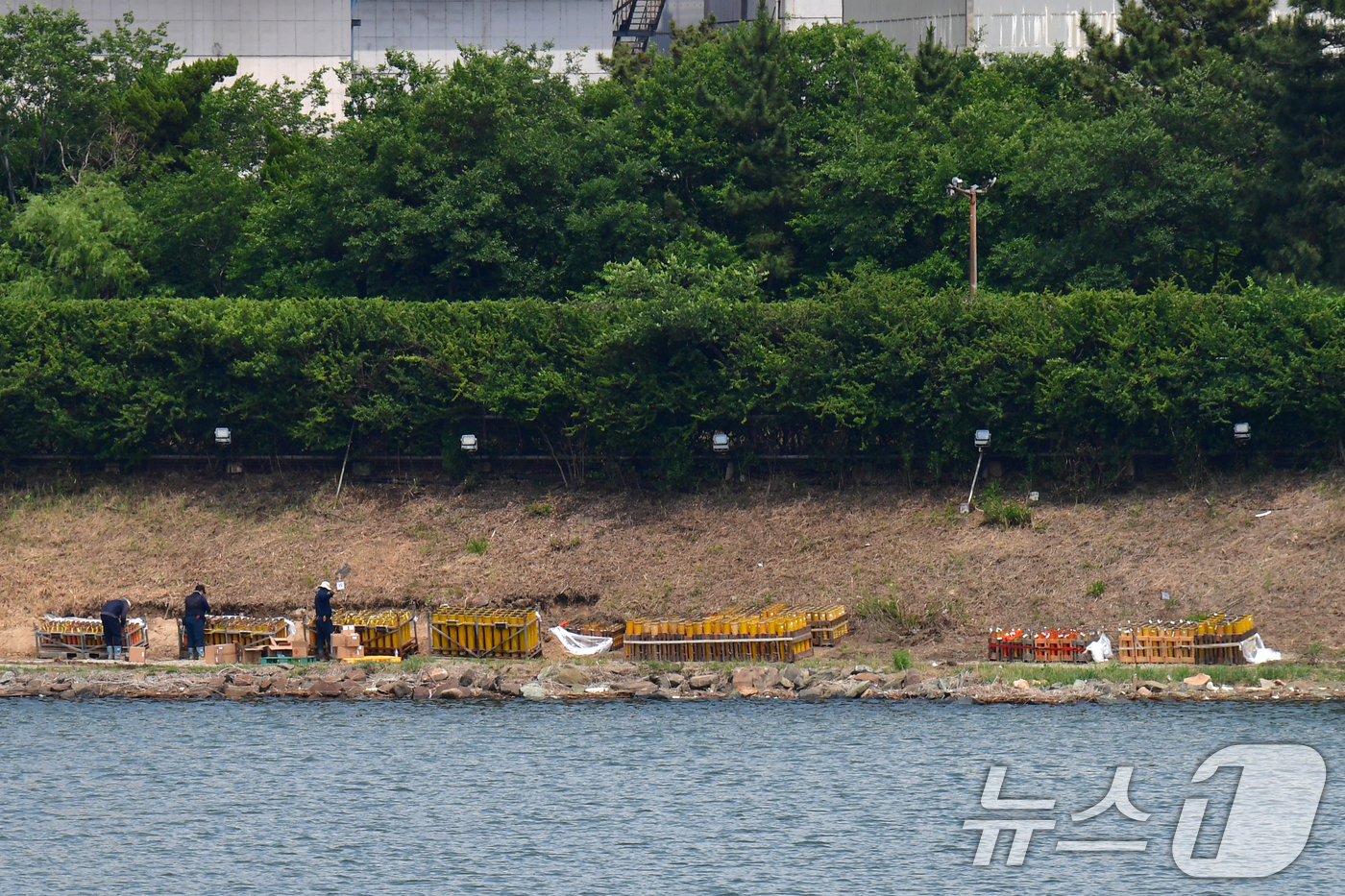 (포항=뉴스1) 최창호 기자 = 17일 경북 포항시 남구 형산강 체육공원 건너편 강변에서 2025 포항국제불빛축제에 사용할 불꽃 발사대 설치 준비가 한창이다. 2025.6.17/뉴 …