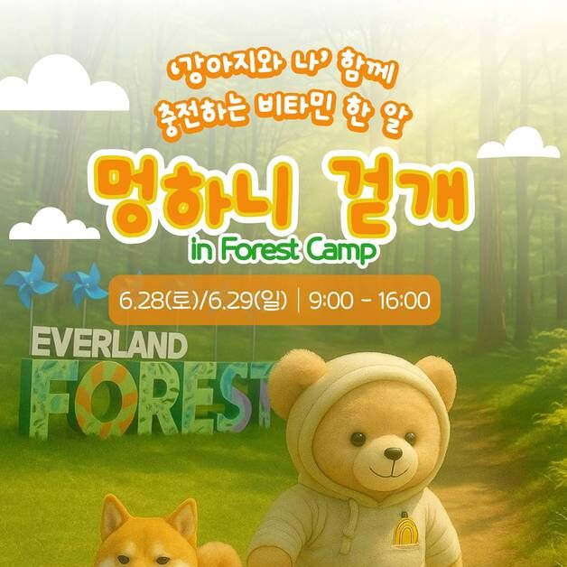 반려견과 숲속 트레킹을…에버랜드, '멍하니 걷개' 프로그램 선봬