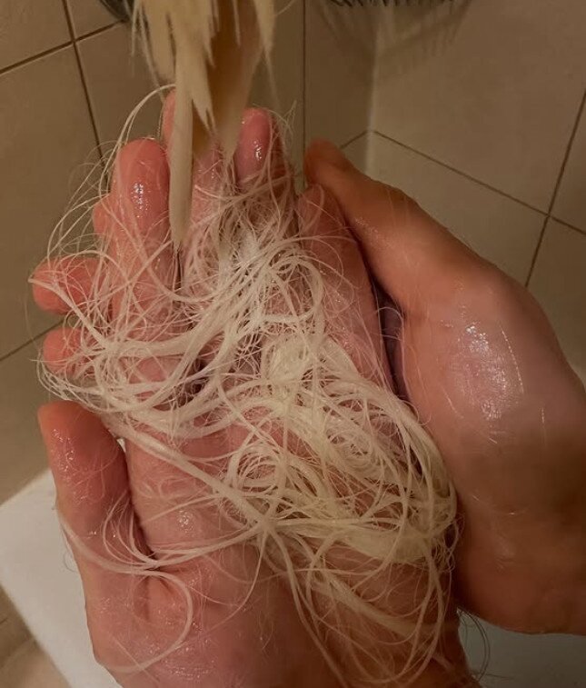 본문 이미지 - 사진=DJ 소다 인스타그램