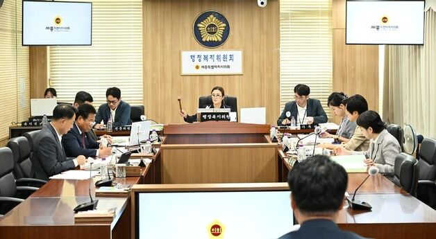 '경제활성화' 세종 빛축제 또 무산…시의회 상임위 예산 전액삭감