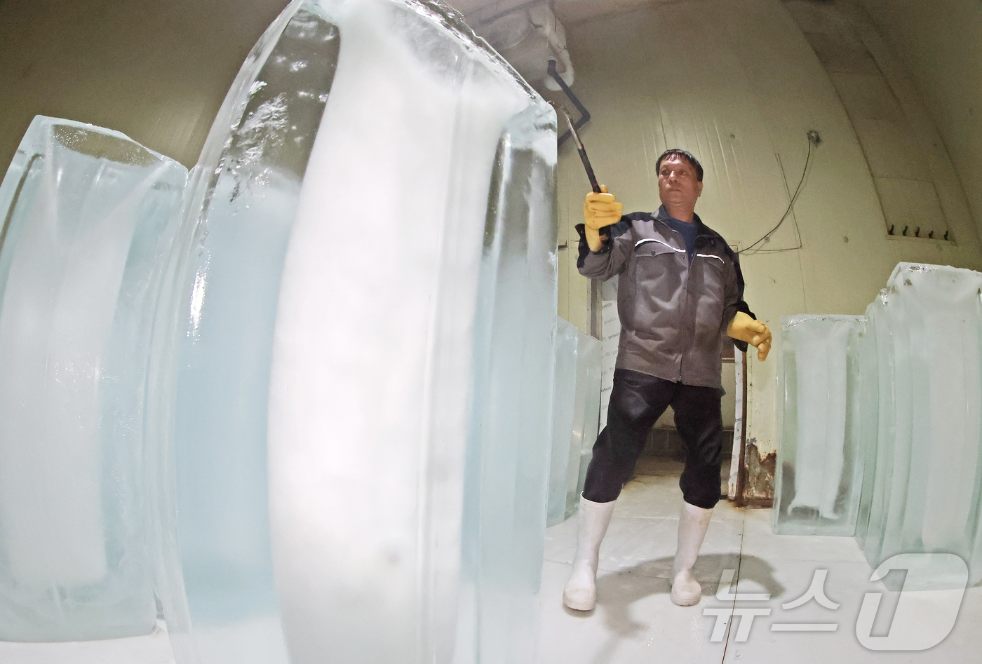 (부천=뉴스1) 장수영 기자 = 최고기온이 30도를 넘으며 무더위가 이어진 18일 경기 부천의 한 얼음공장에서 직원이 얼음을 냉동고로 옮기고 있다.공장 관계자는 "무더위가 본격적으 …