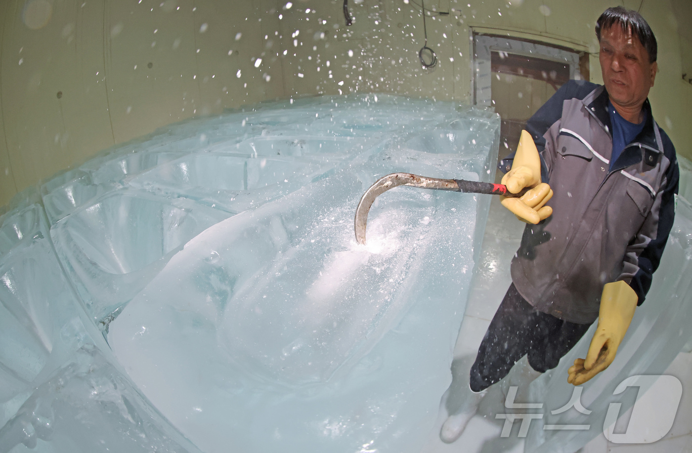 (부천=뉴스1) 장수영 기자 = 최고기온이 30도를 넘으며 무더위가 이어진 18일 경기 부천의 한 얼음공장에서 직원이 얼음을 냉동고로 옮기고 있다.공장 관계자는 "무더위가 본격적으 …