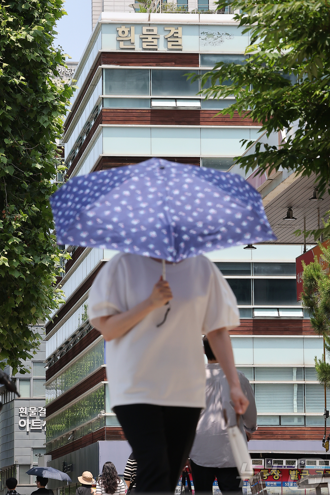 (서울=뉴스1) 김진환 기자 = 순직해병 수사방해 의혹 사건을 수사할 이명현 특별검사가 18일 서울 서초동에 특검 사무실을 마련했다고 밝혔다.이 특검은 이날 오전 자신의 사무실 앞 …