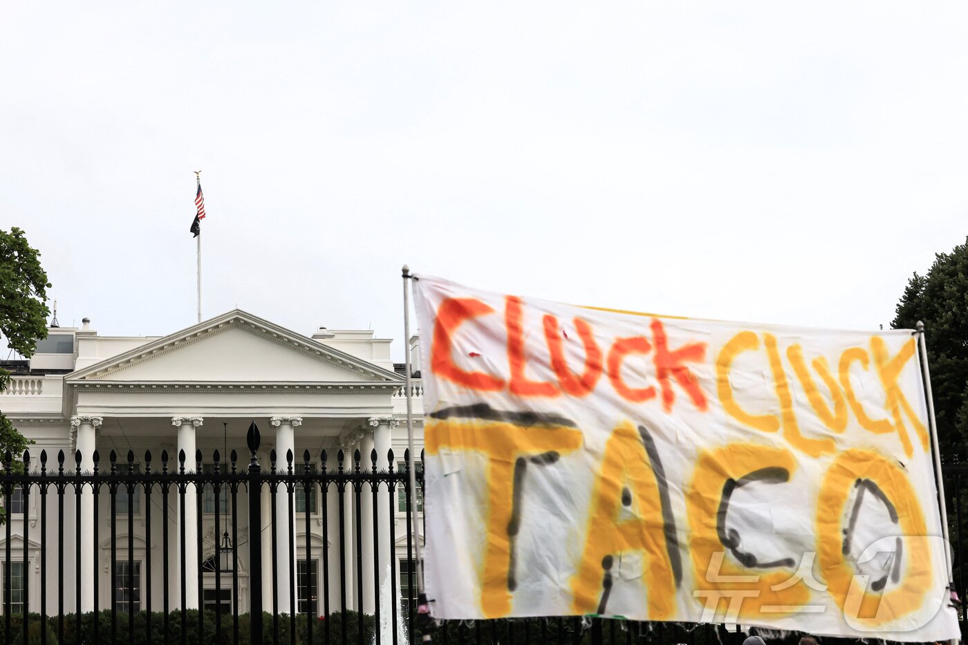 본문 이미지 - 17일(현지시간) 미국 워싱턴 DC 백악관 앞에 '꼬끼오 꼬끼오 타코'(CLUCK CLUCK TACO) 라고 적힌 현수막이 보인다. . 2025.6.17ⓒ 로이터=뉴스1