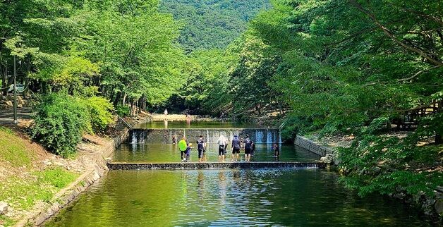 [오늘의 날씨] 충북·세종(22일, 일)…맑고 낮 기온 30도
